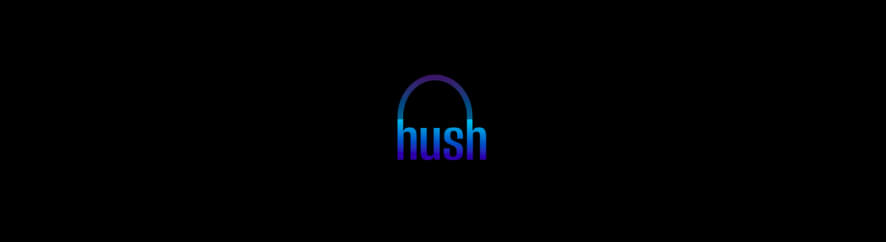 Discover Hush's Unique Party Experience: A Brand Vision Marketing Case Study.