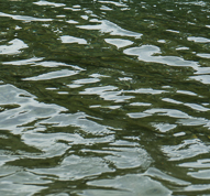 photo of calm water with slight green hue