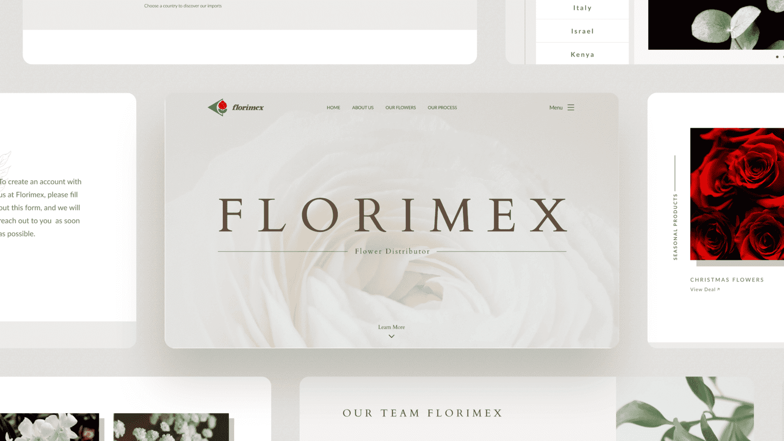 Discover Florimex's Renowned Wholesale Florist: A Brand Vision Marketing Case Study.